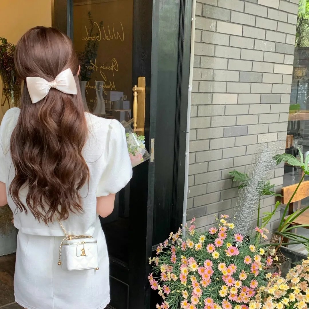 彩叶草之梦